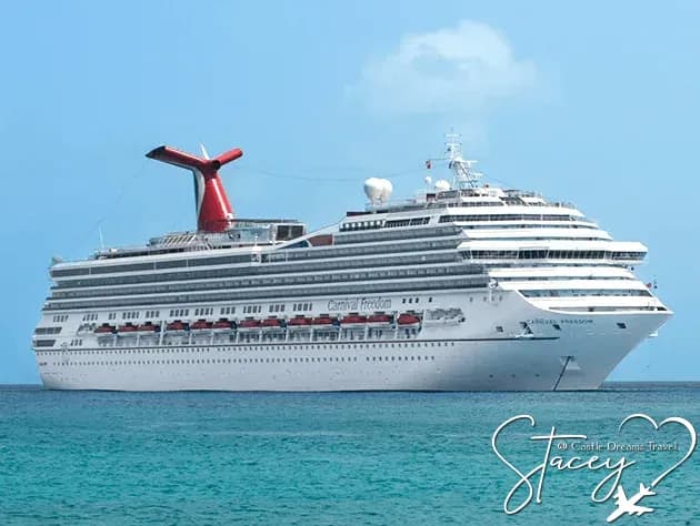 Carnival cruise ship at sea