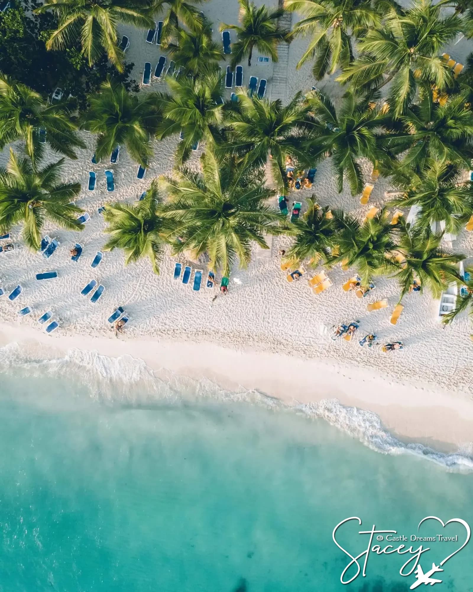 White-sand beach with swaying palms in the Dominican Republic