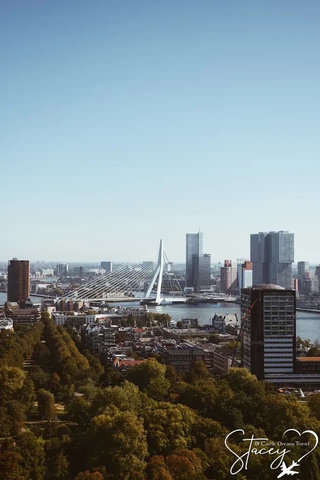 Modern skyline and Erasmus Bridge of Rotterdam
