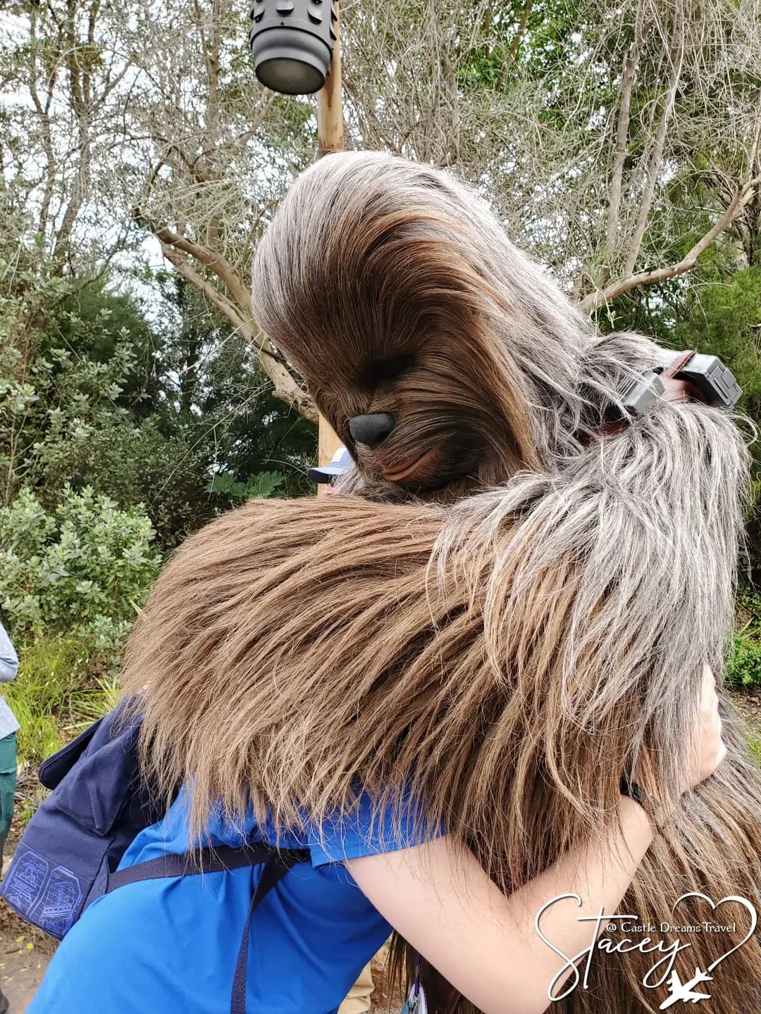 Chewbacca wrapping Stacey's son in a hug outdoors at Walt Disney World, the boy's arms around him
