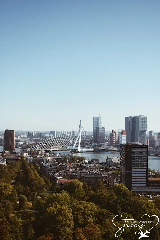 Modern skyline and Erasmus Bridge of Rotterdam