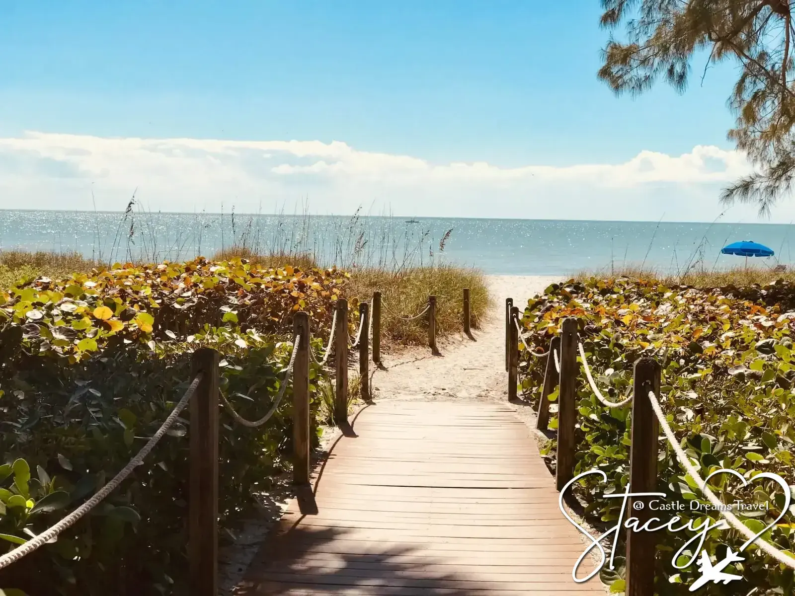 Boardwalk path through sea grapes leading to the beach on Sanibel Island