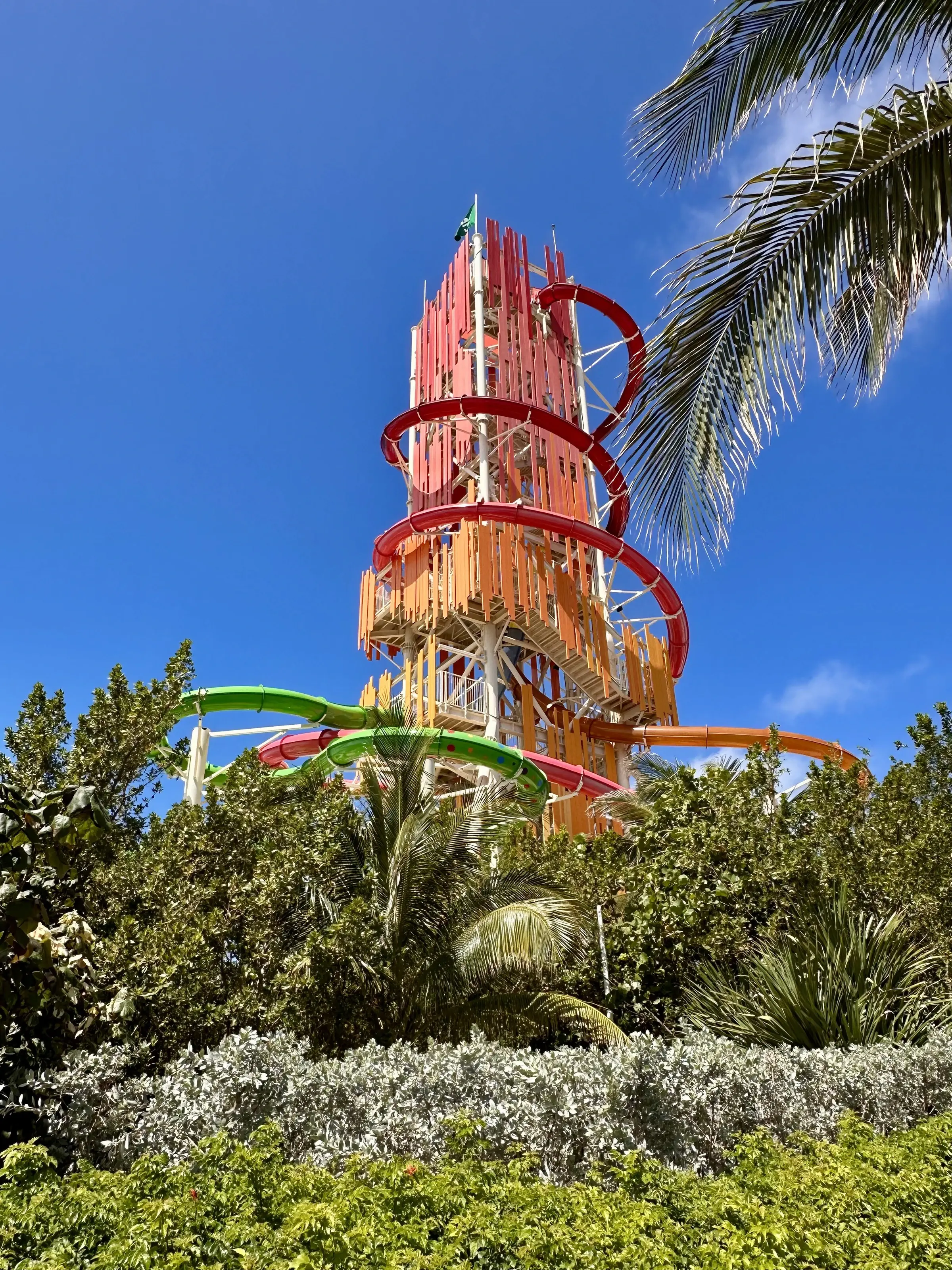 Daredevil's Peak and the Thrill Waterpark slides rising above the palms at CoCoCay