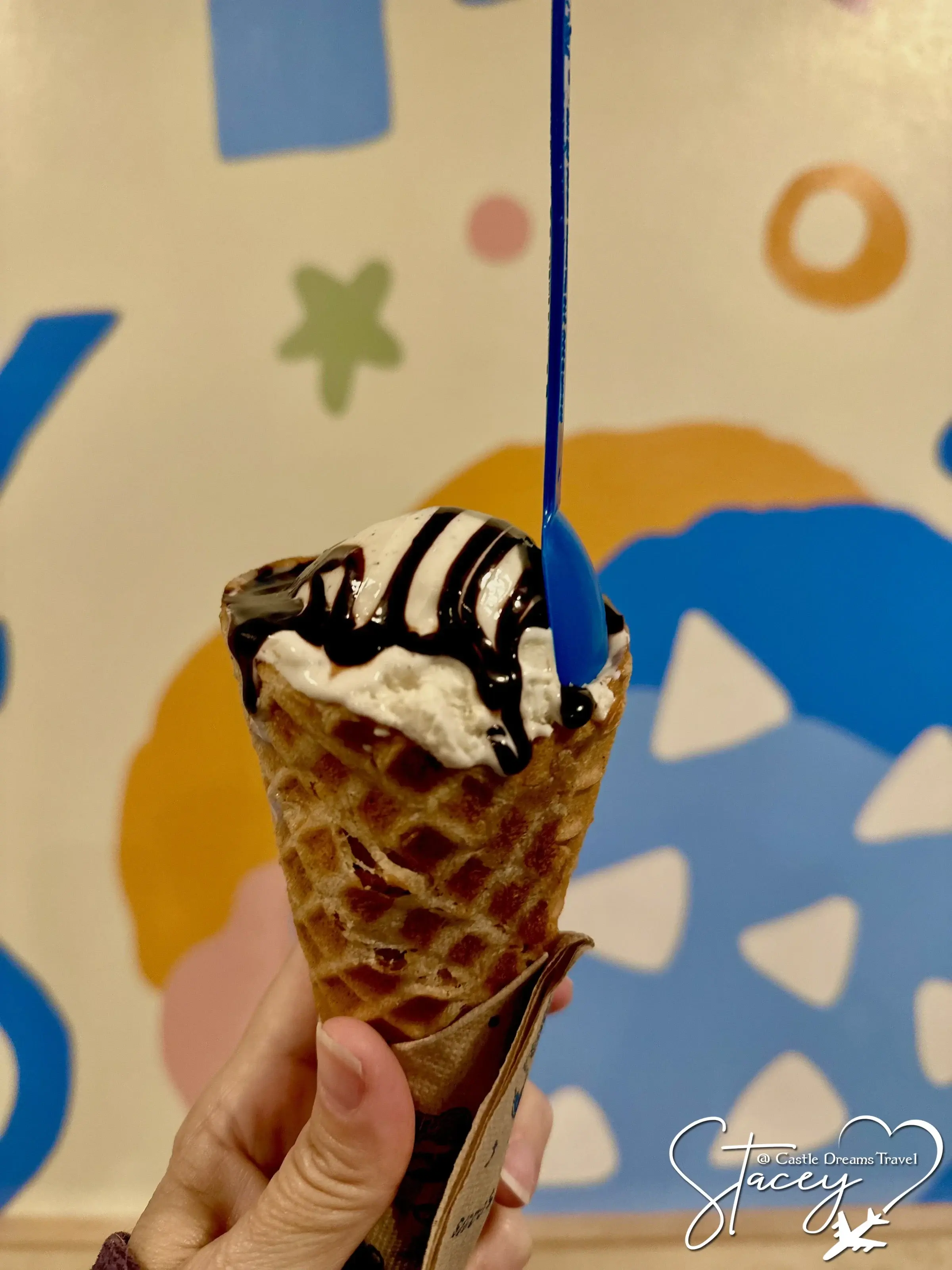 A waffle cone of Wild Scoops ice cream drizzled with chocolate